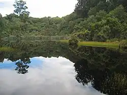 Lake Wilkie