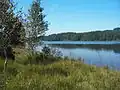 Kirchsee (Oberbayern) Südufer