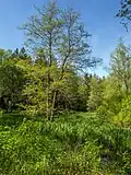 Saarland
