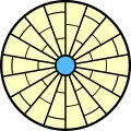 mit Anastomosen