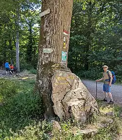 Markierung im Bereich der Landauer Hütte