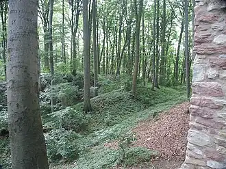 Die zum Sporn abschließende Wall-Graben-Anlage vor der Ecke der Ringmauer