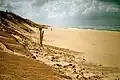 Küste bei Contis-Plage