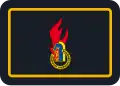 Landesjugendfeuerwehrwart/-in