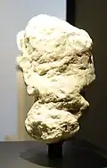 Rückseite.