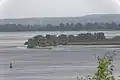 Aussicht über die Elbe