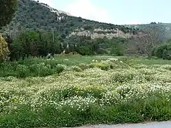 Landschaft bei Vori