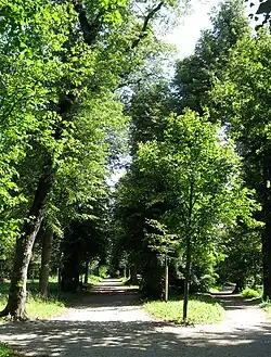 Landschaftsgarten