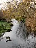Hachinger Bach