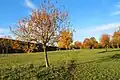 Landschaftspark Hachinger Tal – Streuobstwiese
