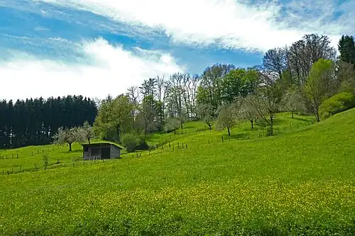 Nassachtal