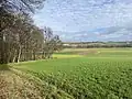 Waldstück mit erhaltenem Teil der Landwehr, die von hier bis zum Weiler Hippelsbach, auf der anderen Seite des Gersprenztals verlief