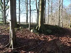 Sprockhoff-Nr. 186