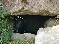 Langdysse von innen
