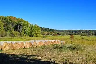 Lange Dammwiesen