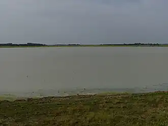 Lange Lacke