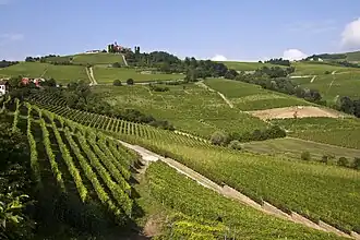 Typische Langhe Landschaft