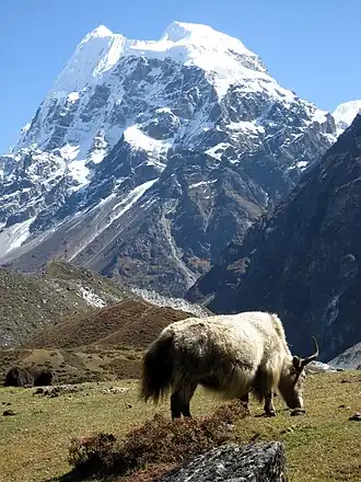Langshisa Ri von Westen