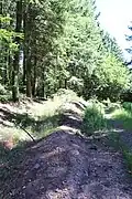 Landwehr Bruttig-Fankel Rest eines Seitenwalls am Straßenrand