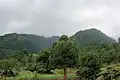 Die Landschaft bei Las Nieves