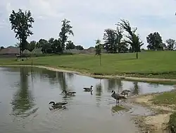 Latimer Lakes Park