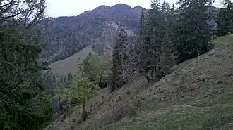 Latschenkopf von Westen