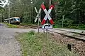 Triebwagen der Transdev Regio Ost, Linie RB&nbsp;33, in der Laußnitzer Heide (Mai&nbsp;2020)