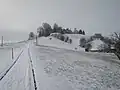 Ansicht von der Strasse zur Oberen Laubegg