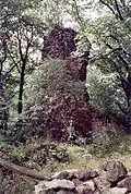 Große Lauenburg, Bergfried im Bereich der östlichen Vorburg (2005)