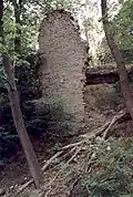 Kleine Lauenburg, Reste des Berings oder eines Gebäudes an der Nordseite (2005)