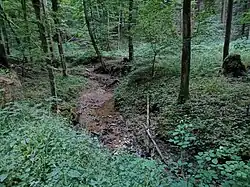 Bachlauf im Wald