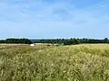 Blick zum Rieseberg vom Heiligen Berg bei Lauingen