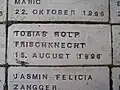 Neugeborenenregister