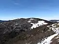 Storkenkopf von Ost-Südost