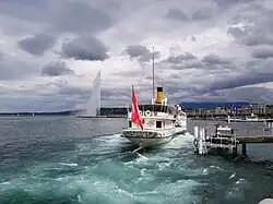 2019