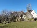 Lebende Laube in Bad Grönenbach