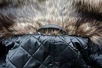 Leder