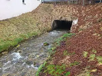 Leerausquelle