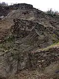 30. Im Lehmener Ausoniusstein, entbuscht und freigestellt: Fast ein hochragendes Denkmal für den Fleiß früherer Winzergenerationen.
