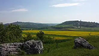 Oberleiser Berg (rechts) von der Steinbacher Heide aus gesehen