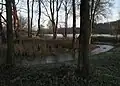 Turmhügel Leizen