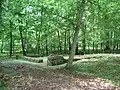 Römischer Friedhof