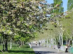 Lene-Voigt-Park