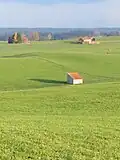 Landschaft bei Lengenwang