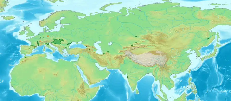 Karte von Eurasien mit eingezeichneter Verbreitung des Auen-Blätterporlings