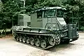 Leopard BARV Samson