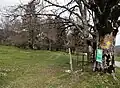 Wanderweg durch die Weide Les Voigières