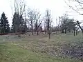 Arboretum