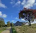 Lesenbüchen 1