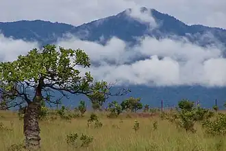 Lethem Guyana Kunuku Mountains